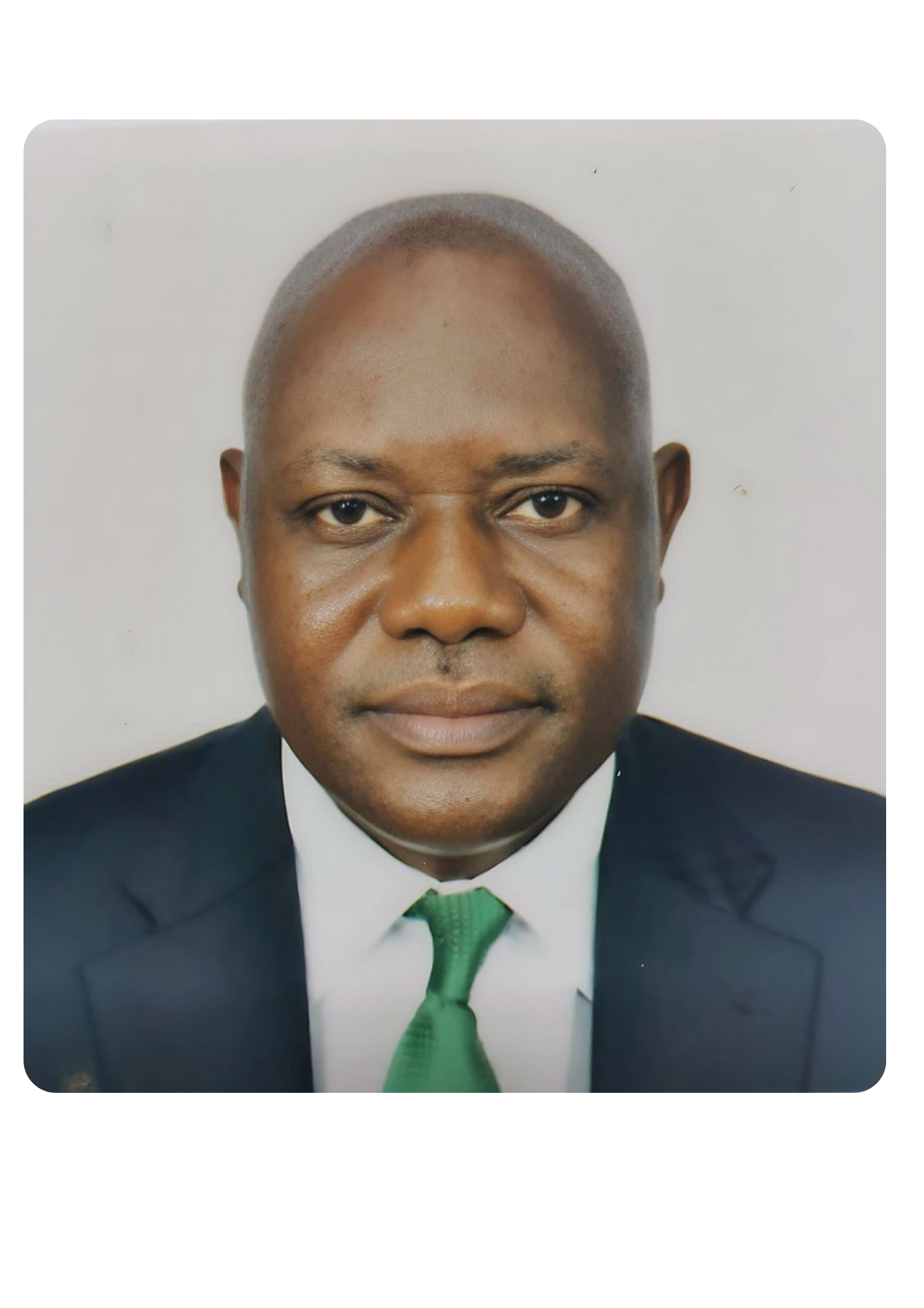 Mr. Adebayo Pius Odumosu - Finance & Funds Manager